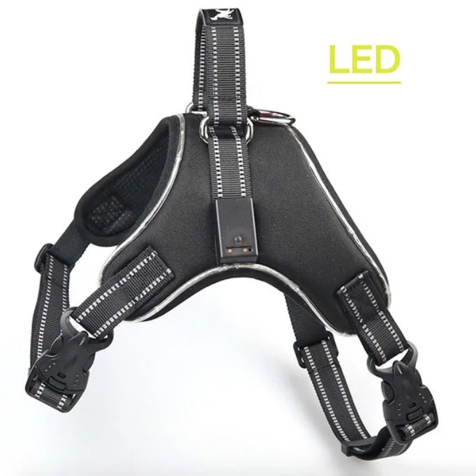 Pet Harness Rechargeable Black