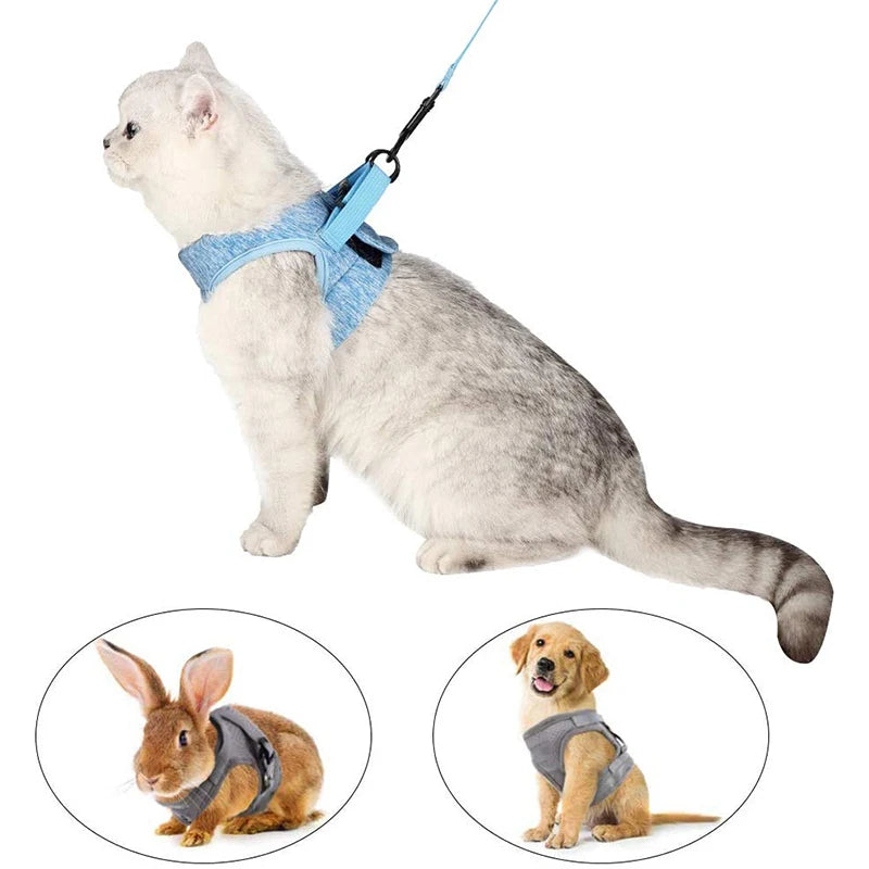 Pet Cat Harness Adjustable Anti-Escape - Black