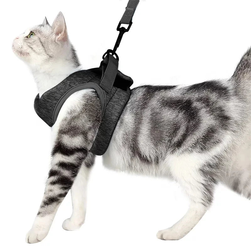 Pet Cat Harness Adjustable Anti-Escape - Black
