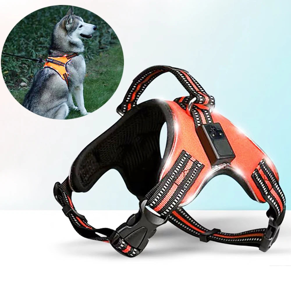 Pet Harness Rechargeable Orange