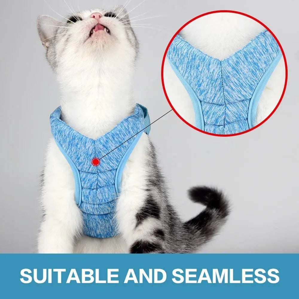 Pet Cat Harness Adjustable Anti-Escape Blue