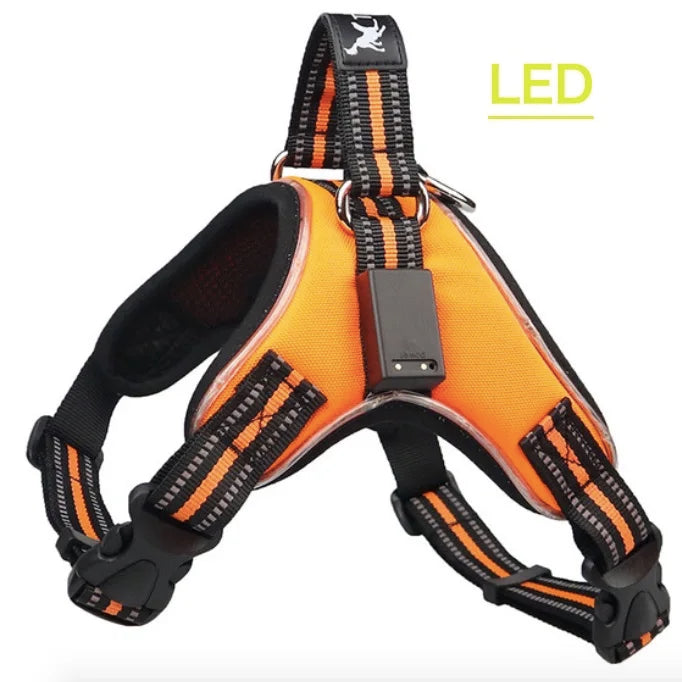 Pet Harness Rechargeable Orange