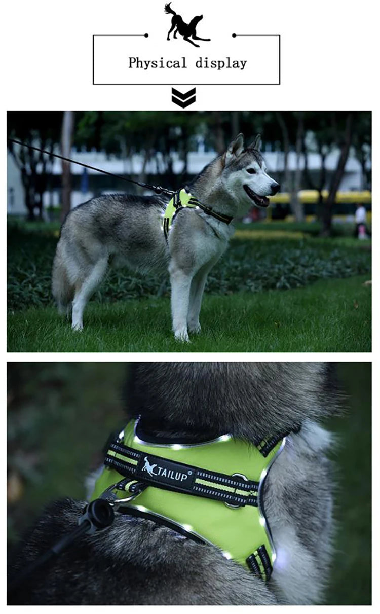 Pet Harness Rechargeable Light Green