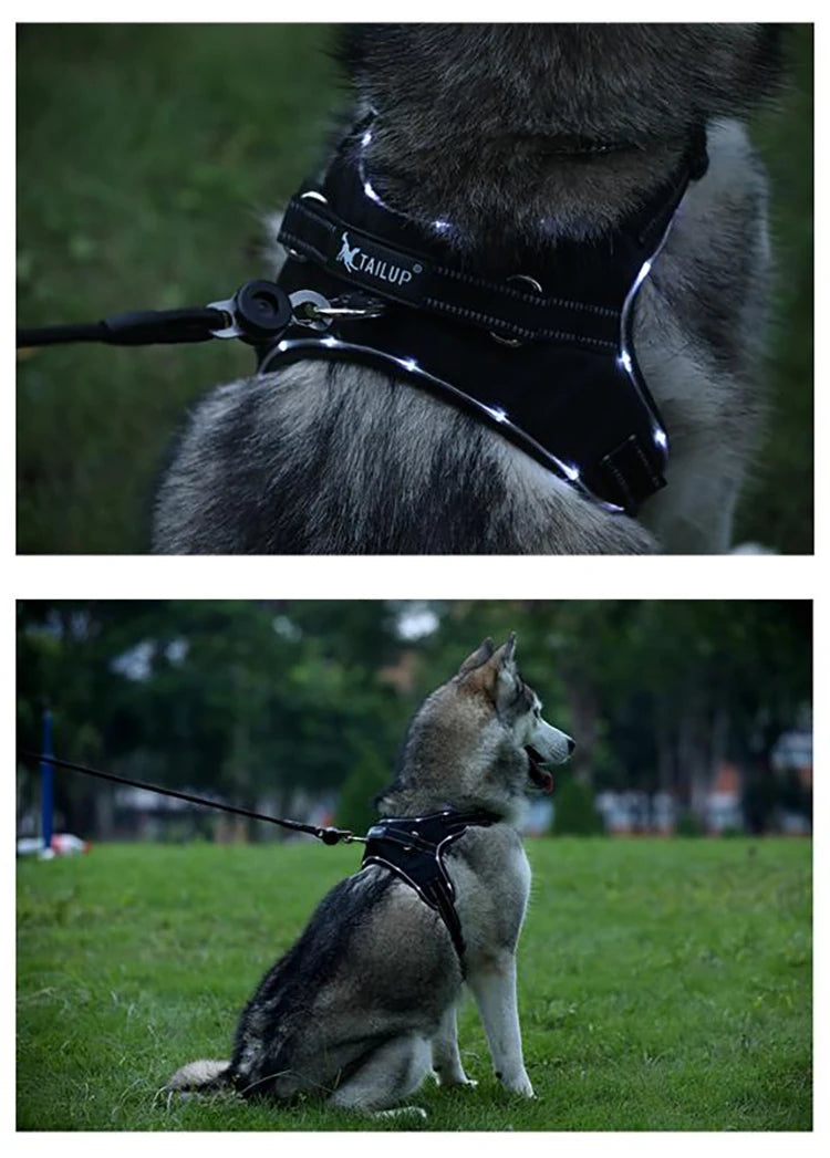 Pet Harness Rechargeable Black
