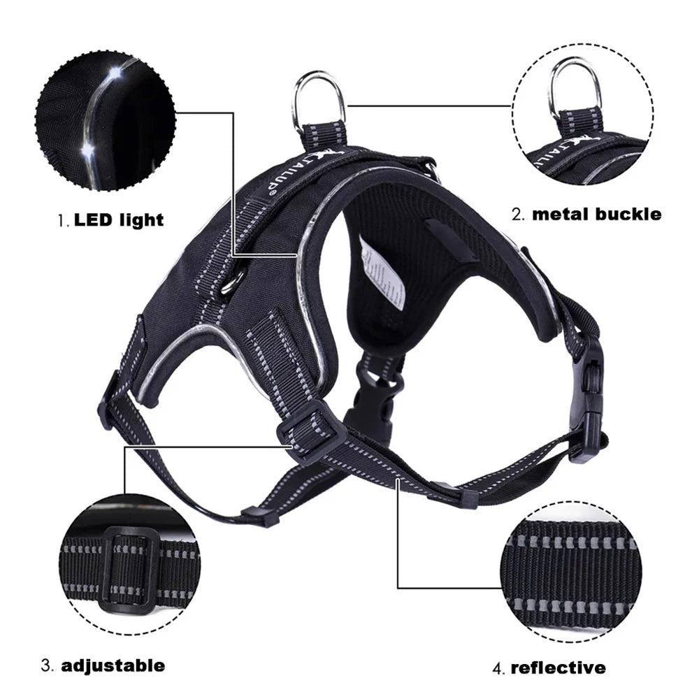 Pet Harness Rechargeable Orange