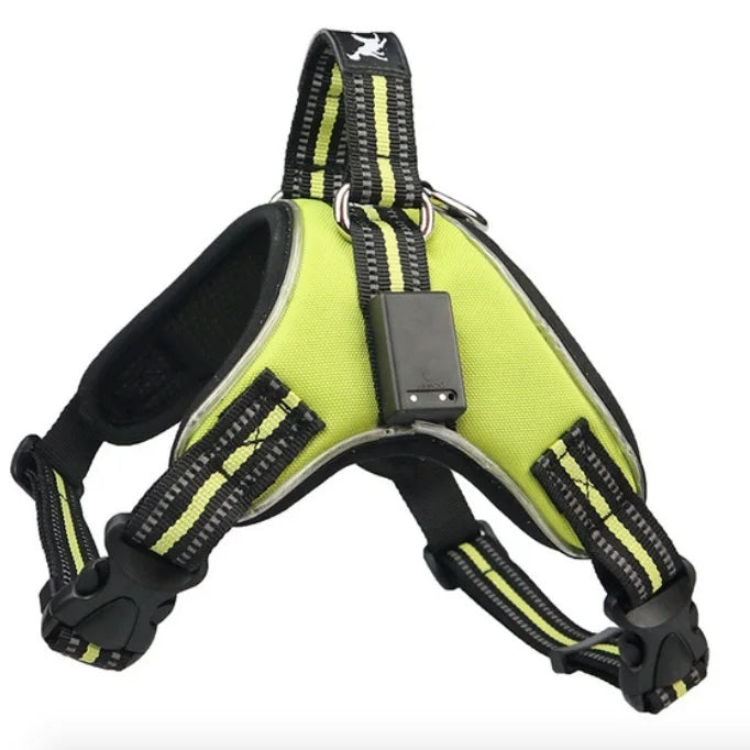 Pet Harness Rechargeable Light Green
