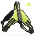 Pet Harness Rechargeable Light Green