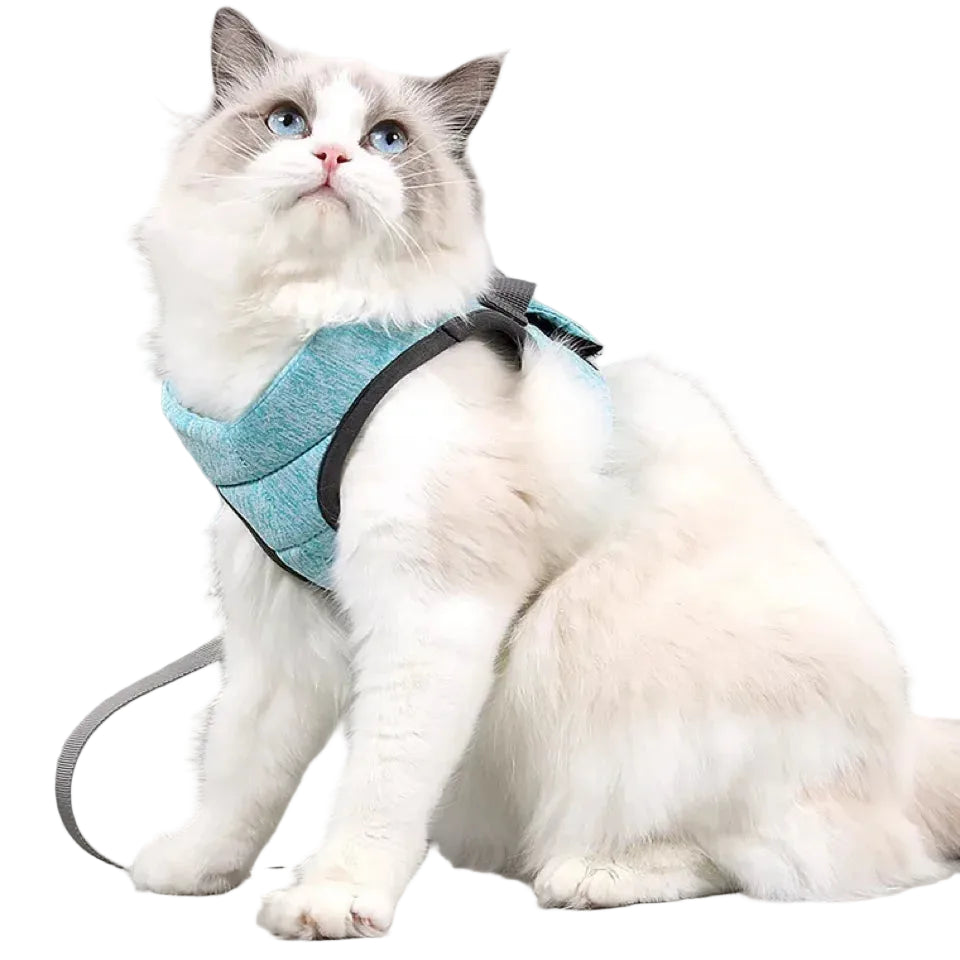 Pet Cat Harness Adjustable Anti-Escape Blue