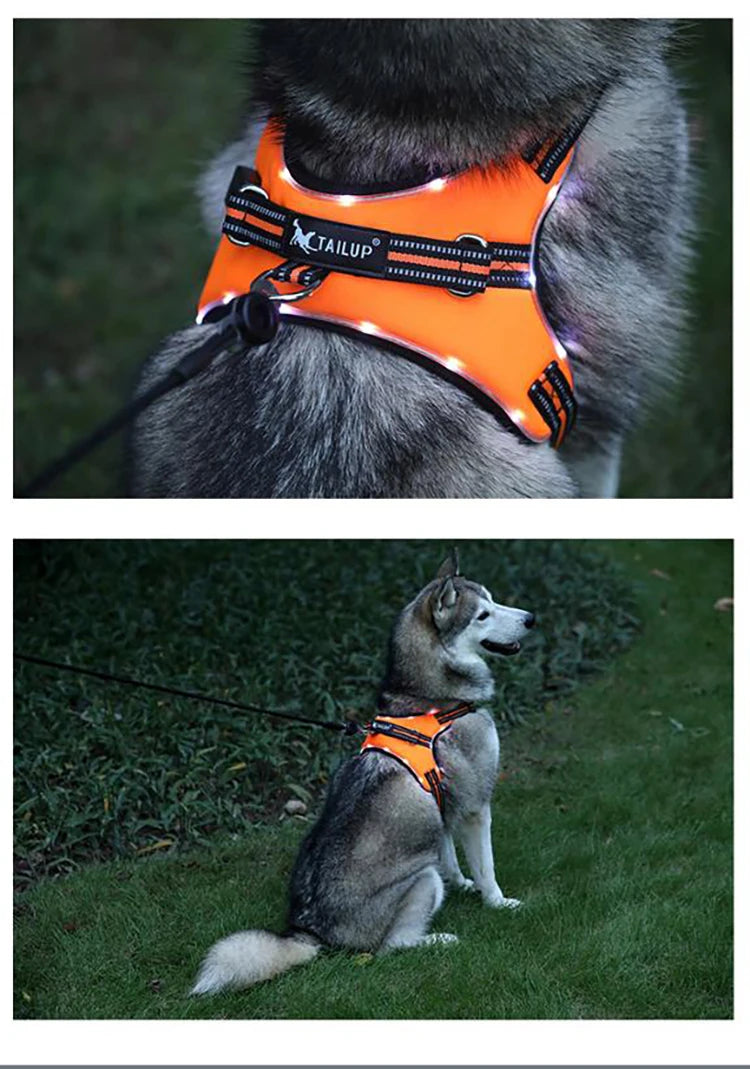 Pet Harness Rechargeable Orange