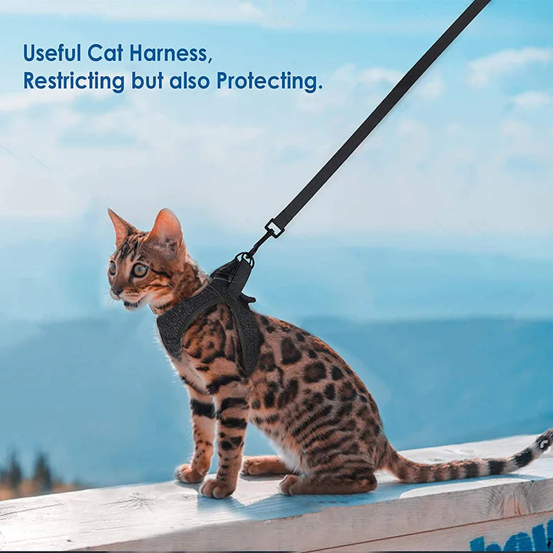 Pet Cat Harness Adjustable Anti-Escape Blue