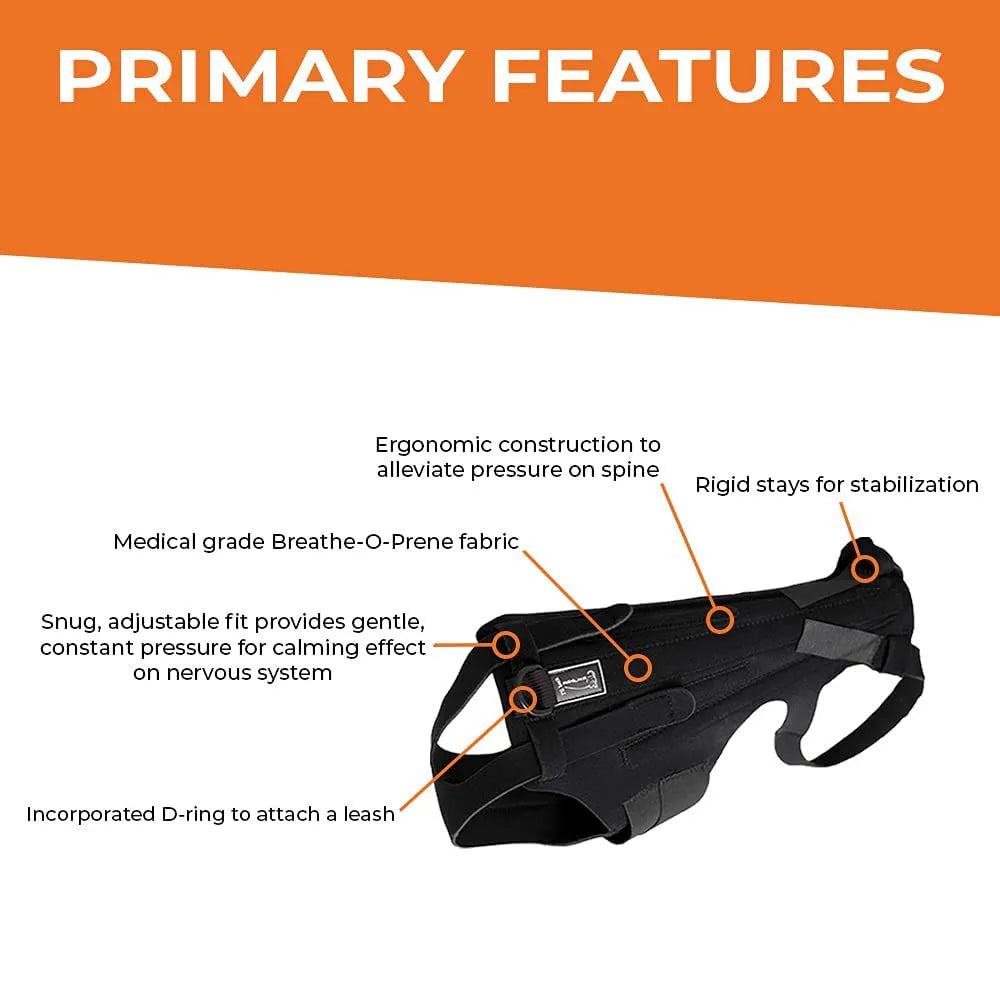 Comfortable Dog Back Support Brace for Spinal Movement and Rehabilitation