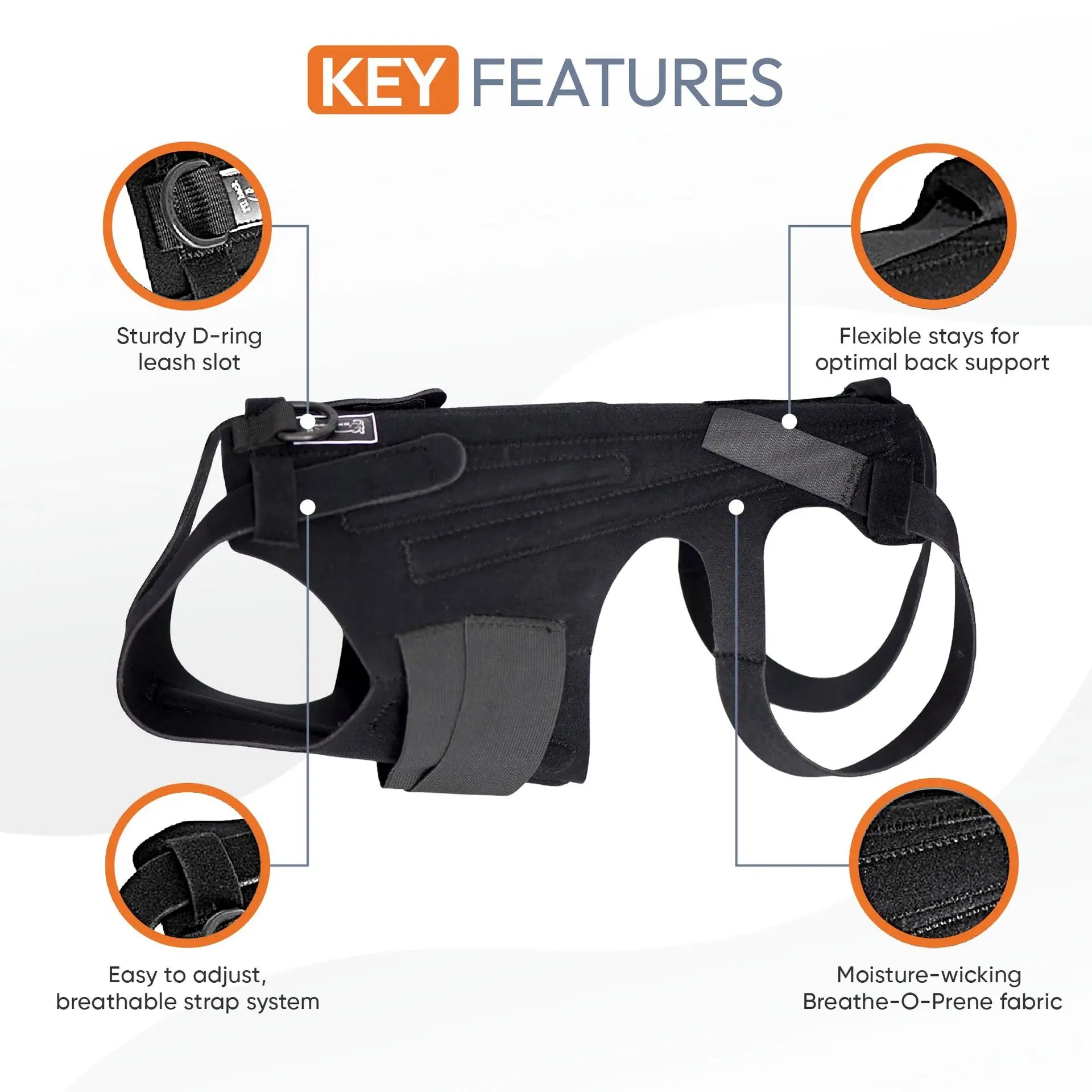 Comfortable Dog Back Support Brace for Spinal Movement and Rehabilitation