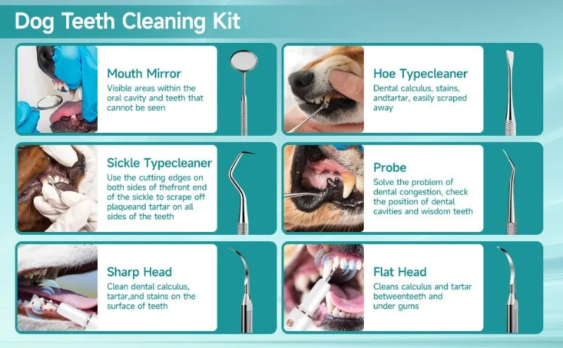 Electric Ultrasonic Pet Dental Cleaner for Dogs Teeth Plaque Remover