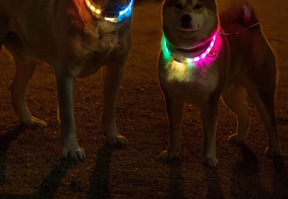 Pet Collar Silicone