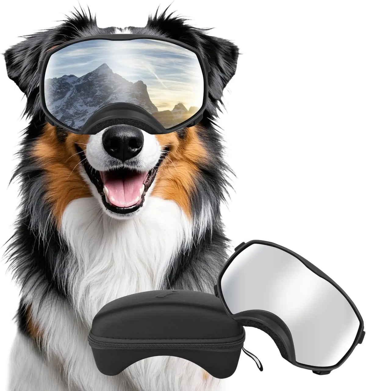 Pet Sunglasses Medium