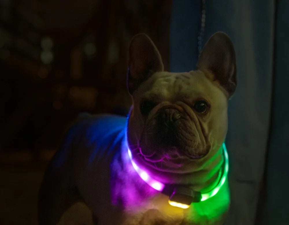 Pet Collar Silicone