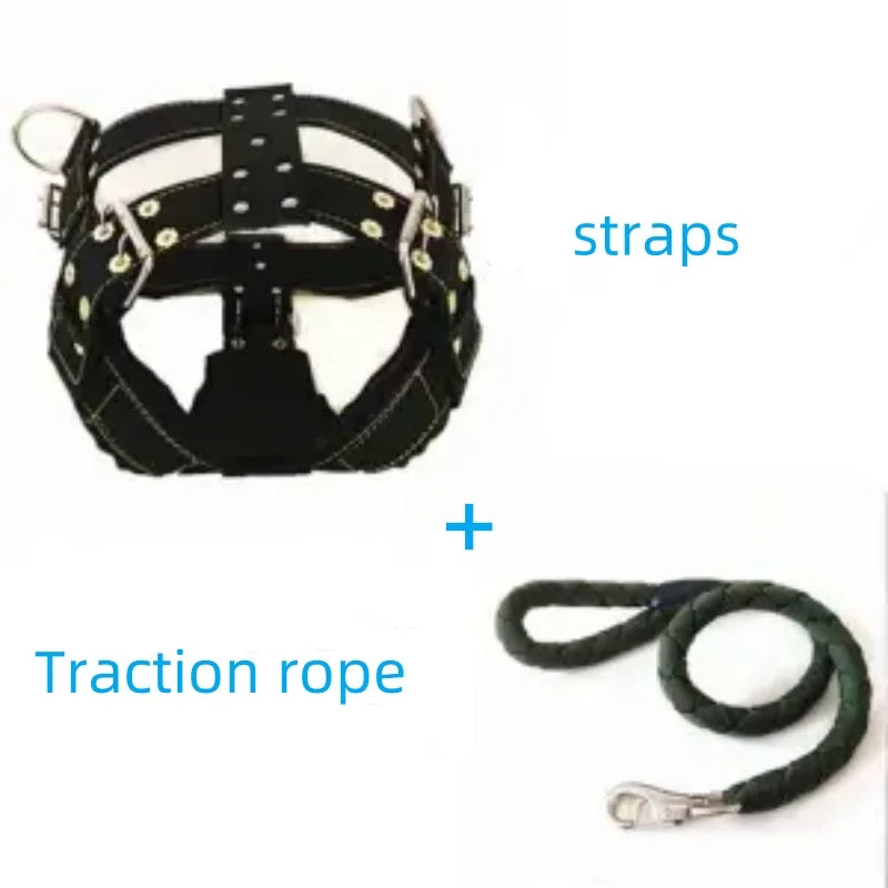 Dog Harness with Handle and Lead Adjustable Control Vest Durable Design also for pulling a slede