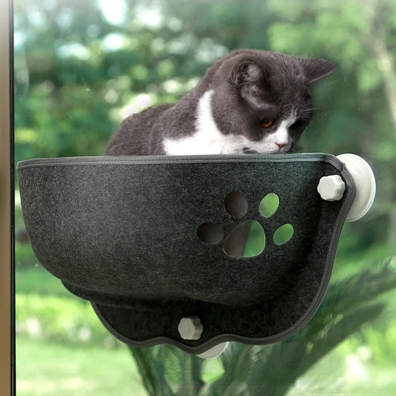 Pet Hammock Black