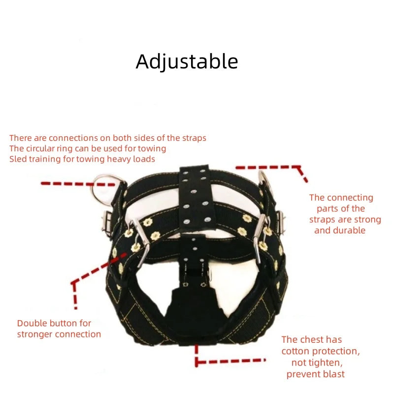 Dog Harness with Handle and Lead Adjustable Control Vest Durable Design also for pulling a slede
