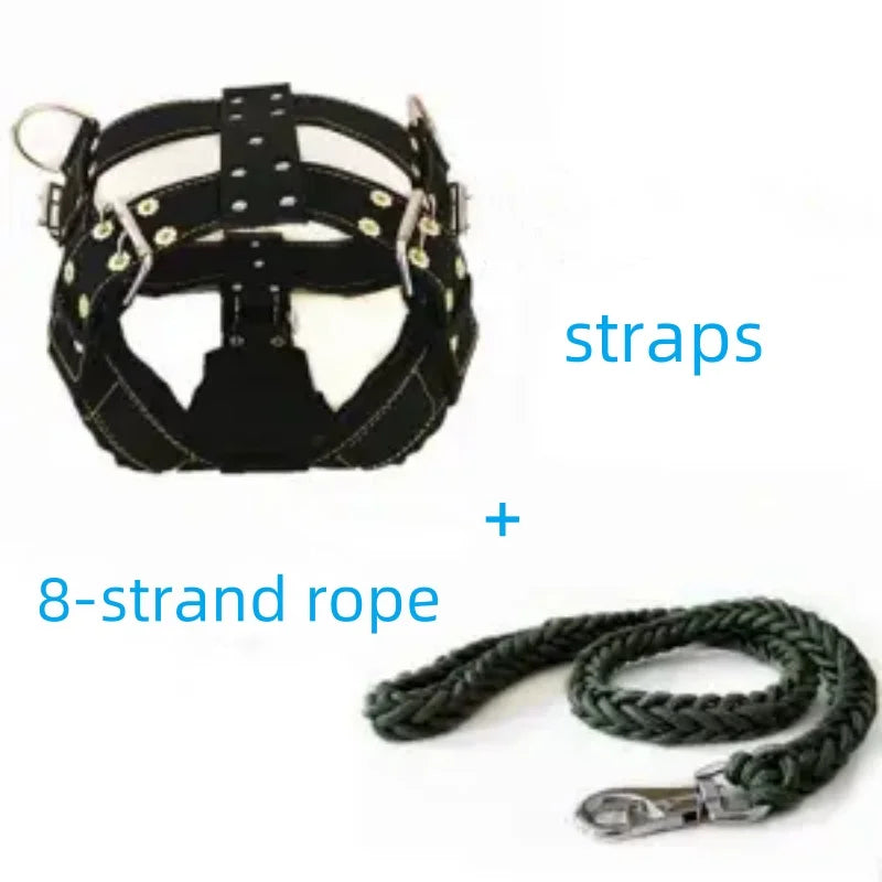 Dog Harness with Handle and Lead Adjustable Control Vest Durable Design also for pulling a slede