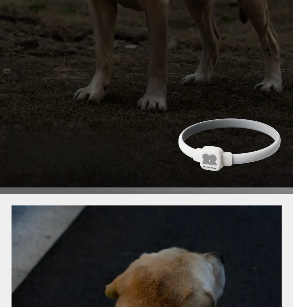 Pet Collar Silicone
