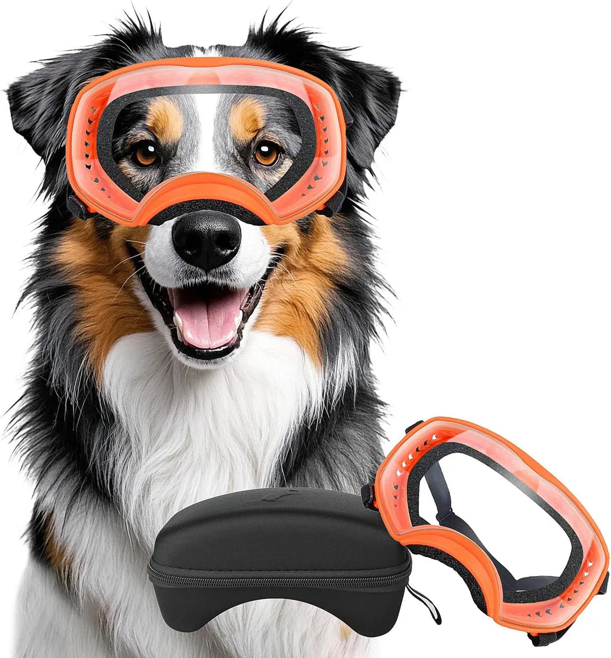 Pet Sunglasses Medium