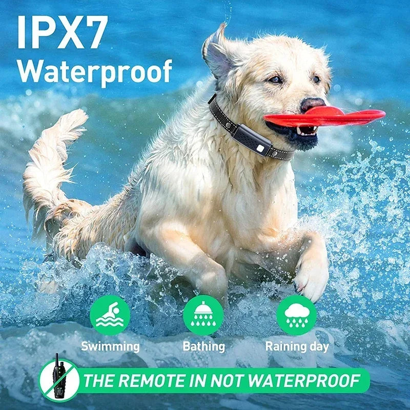 Pet Training Collar Waterproof