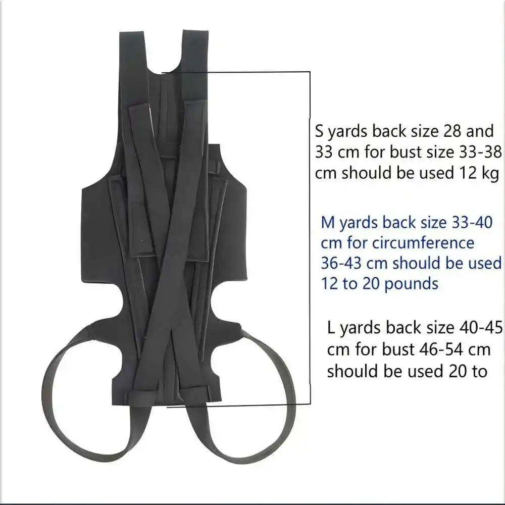 Comfortable Dog Back Support Brace for Spinal Movement and Rehabilitation
