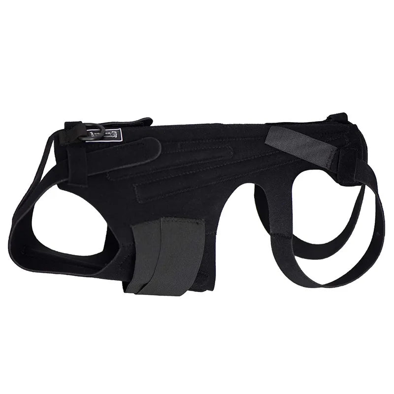 Comfortable Dog Back Support Brace for Spinal Movement and Rehabilitation
