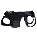 Comfortable Dog Back Support Brace for Spinal Movement and Rehabilitation