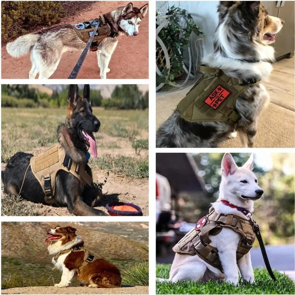 Pet Harness Brown Medium