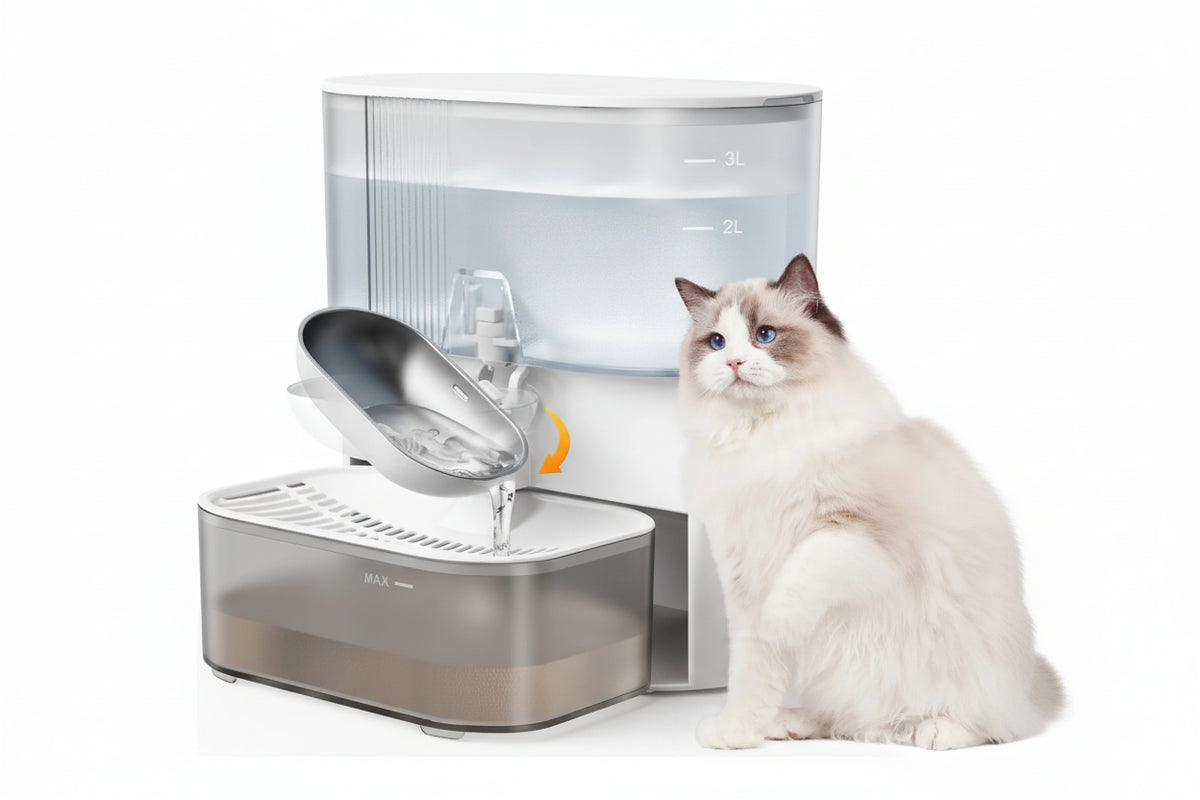 Pet Water Fountain Automatic