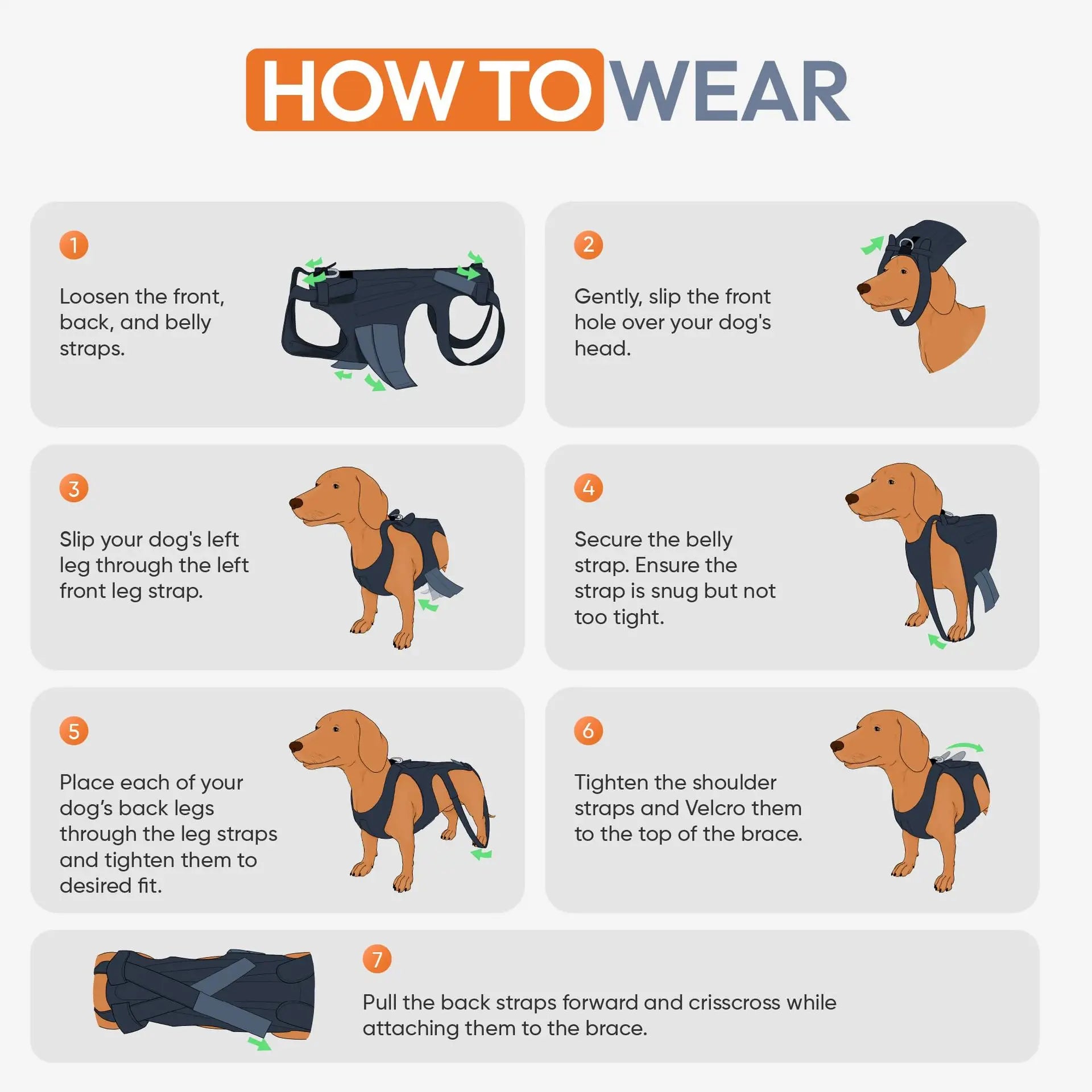 Comfortable Dog Back Support Brace for Spinal Movement and Rehabilitation