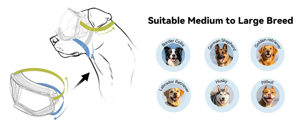 Pet Sunglasses Medium