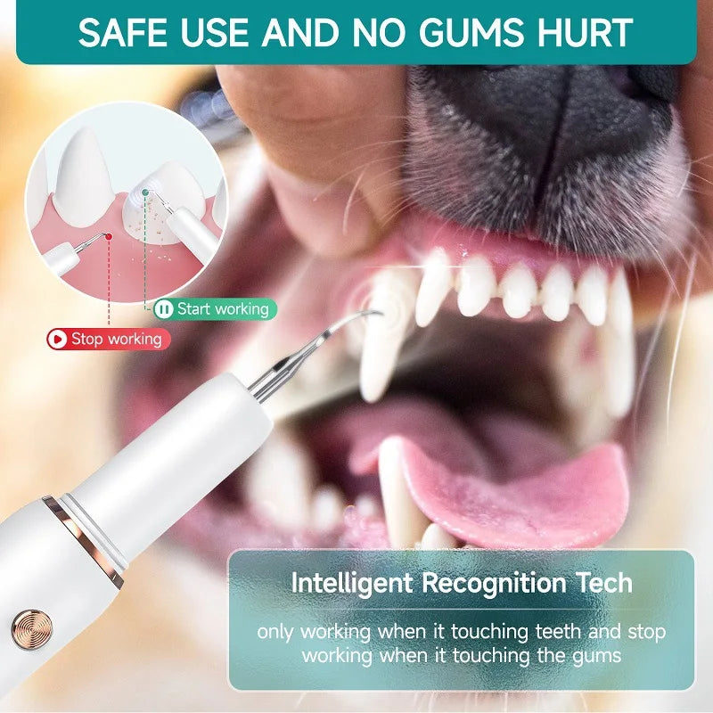 Electric Ultrasonic Pet Dental Cleaner for Dogs Teeth Plaque Remover