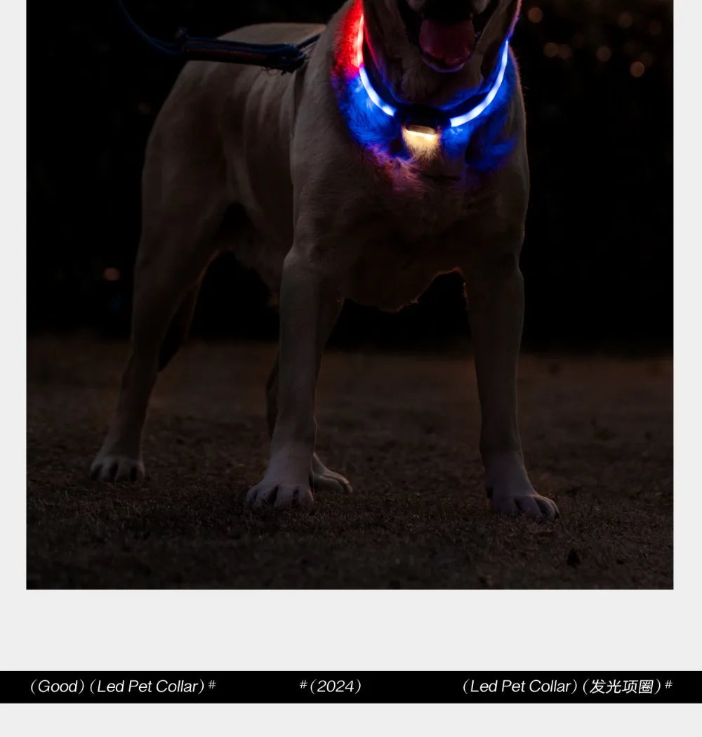 Pet Collar Silicone