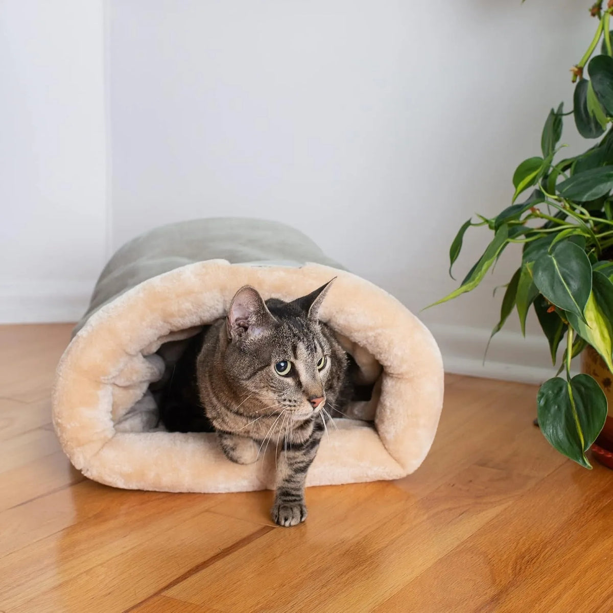 Pet Sleeping Bag