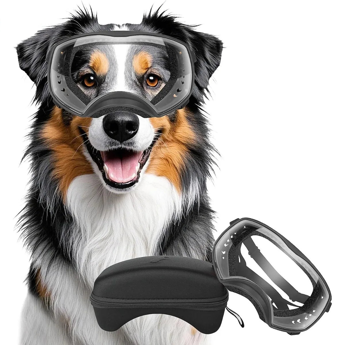 Pet Sunglasses Medium