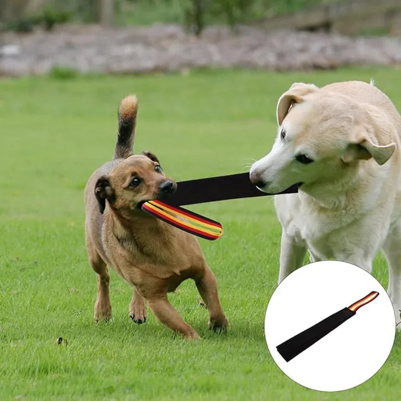 Pet Leather Dog Training Tug Toy for Small and Medium Dogs - Black