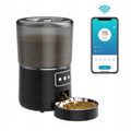 Pet Feeder Automatic Black
