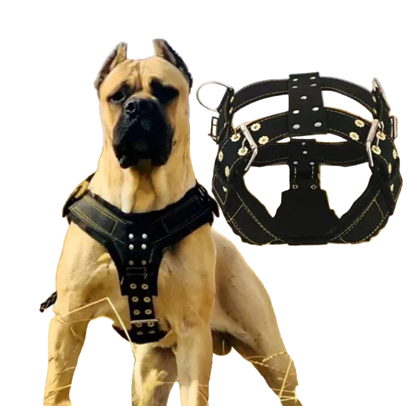 Dog Harness with Handle and Lead Adjustable Control Vest Durable Design also for pulling a slede