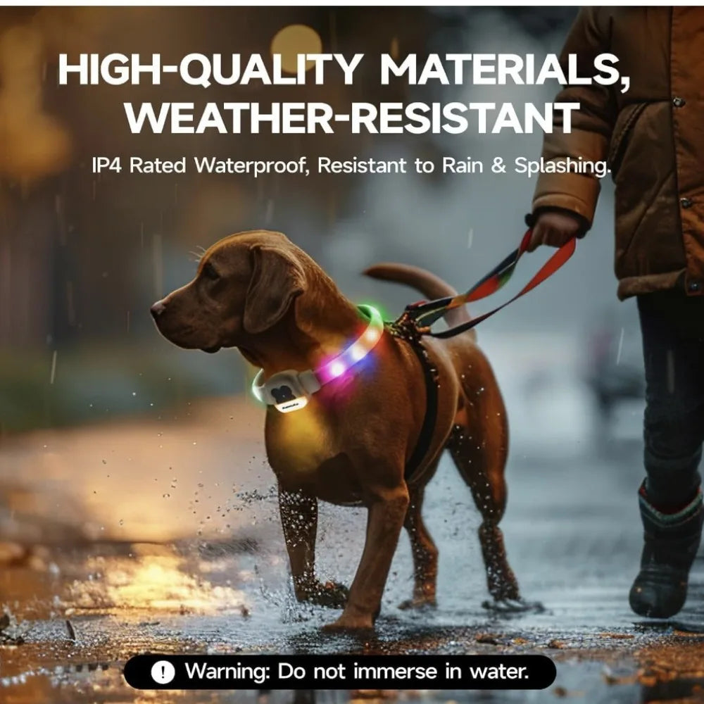Pet Collar Silicone