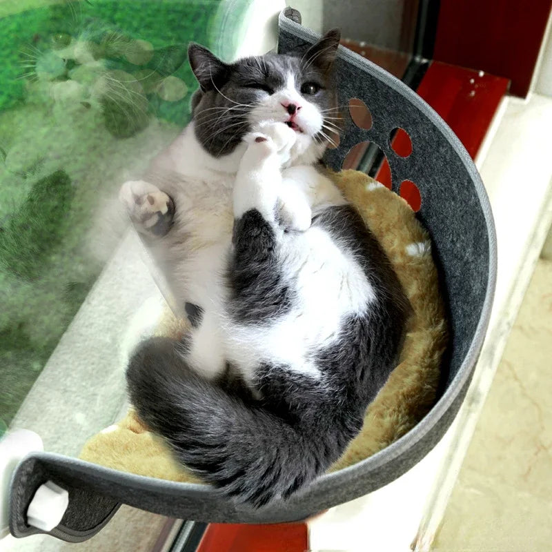 Pet Hammock