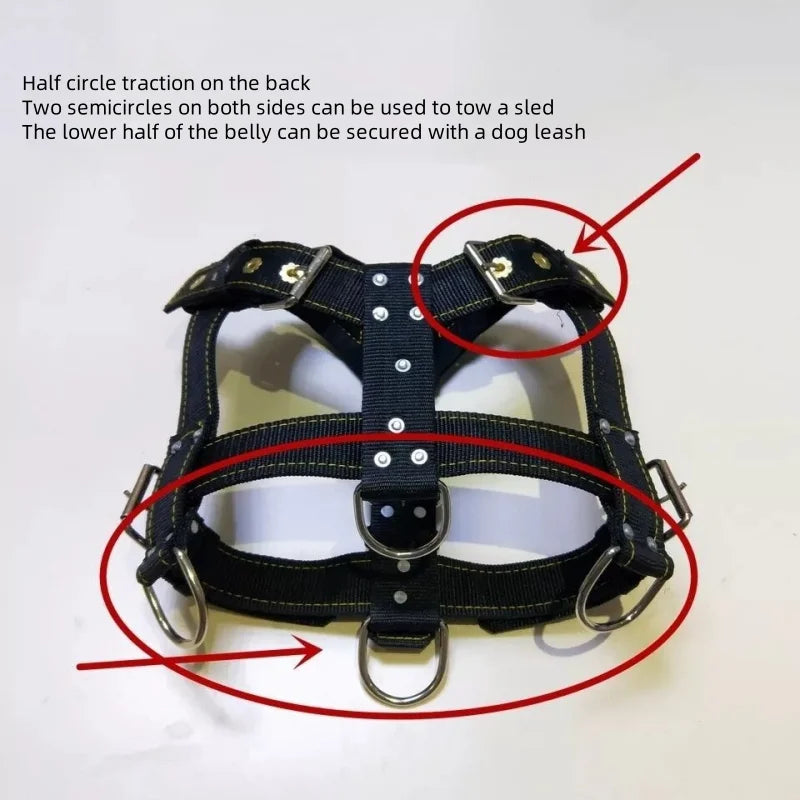 Dog Harness with Handle and Lead Adjustable Control Vest Durable Design also for pulling a slede