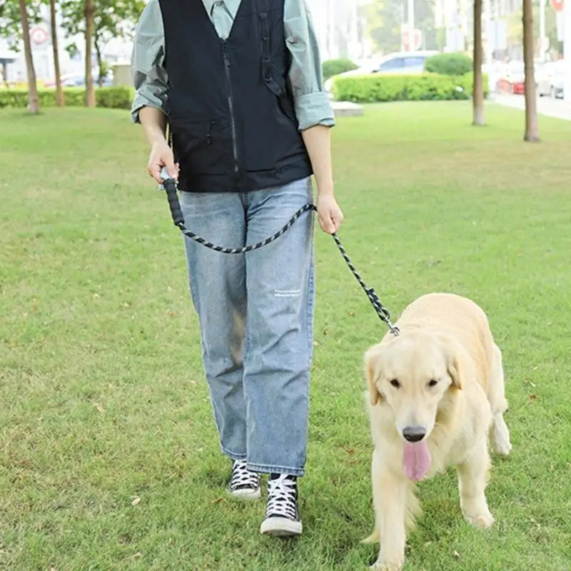 Dog Training Vest Professional Work Vest with Functional Storage for Dog Trainers colour Black