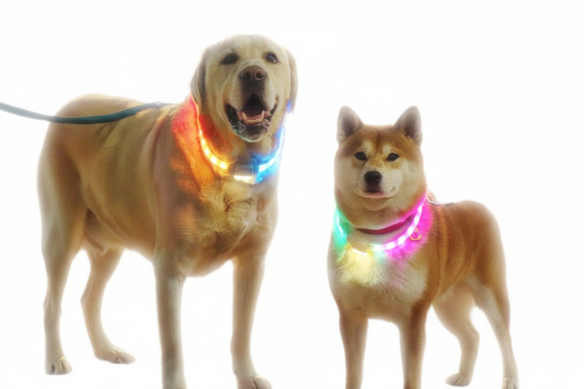 Pet Collar Silicone