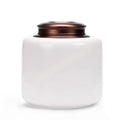Ceramic Pet Urn for Ashes Antique Style Memorial Box for Cats and Dogs White