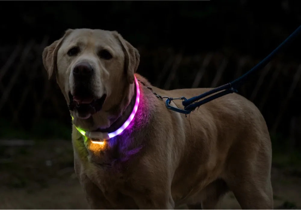 Pet Collar Silicone