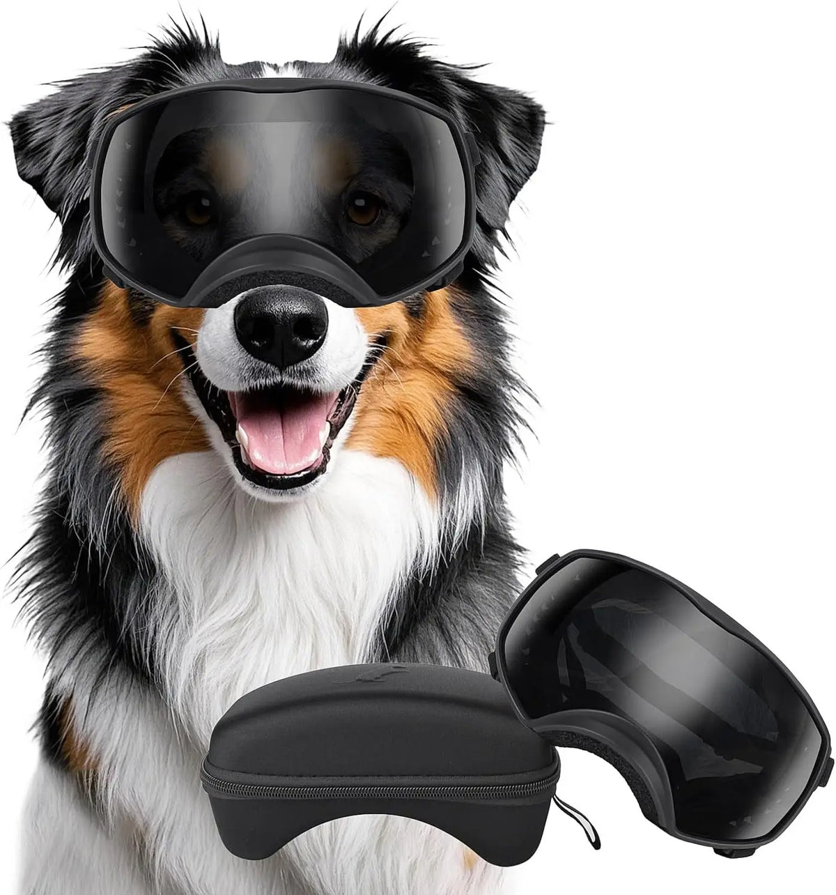 Pet Sunglasses Medium
