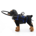Pet Harness Blue